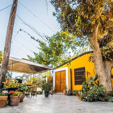 Luchy'S Country House Albergue Ica Exterior foto