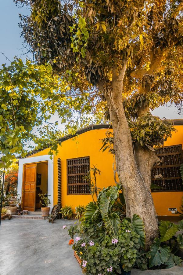 Luchy'S Country House Albergue Ica Exterior foto