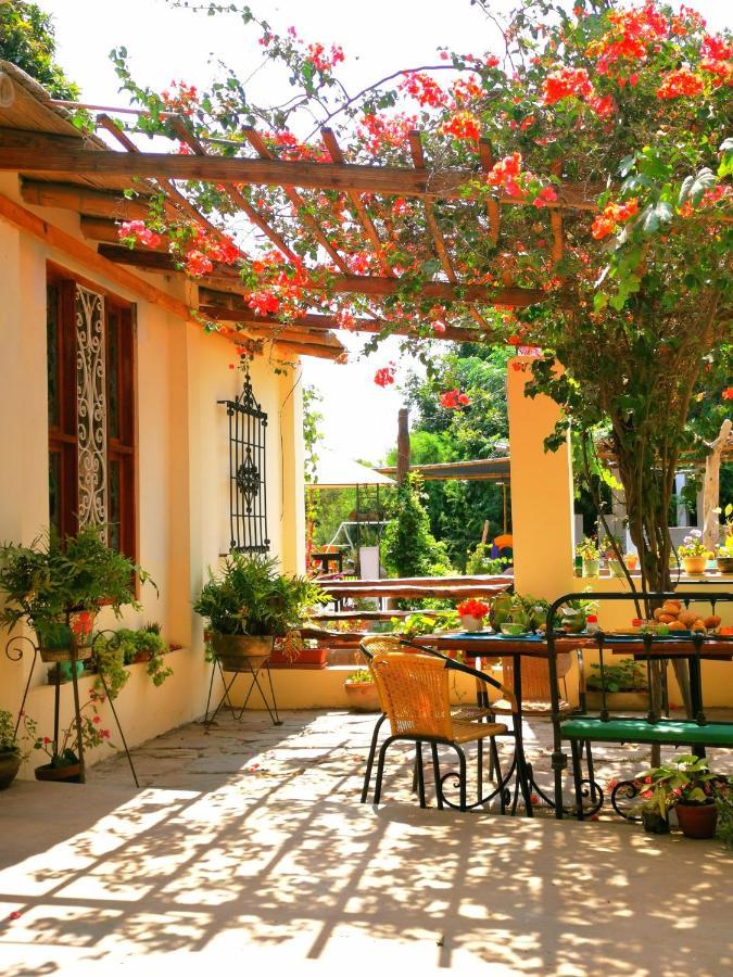 Luchy'S Country House Albergue Ica Exterior foto