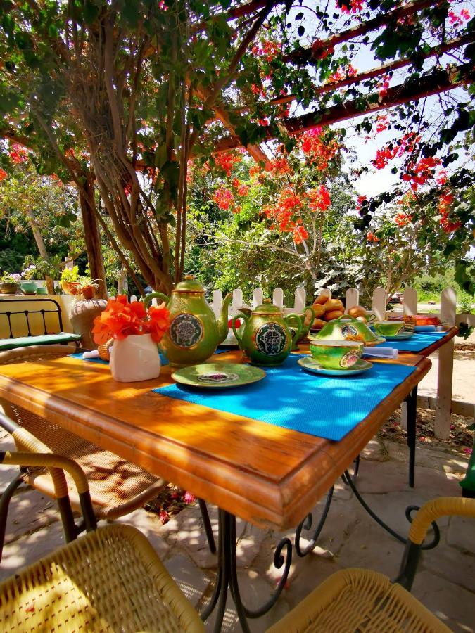 Luchy'S Country House Albergue Ica Exterior foto