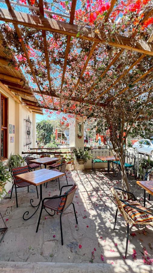 Luchy'S Country House Albergue Ica Exterior foto